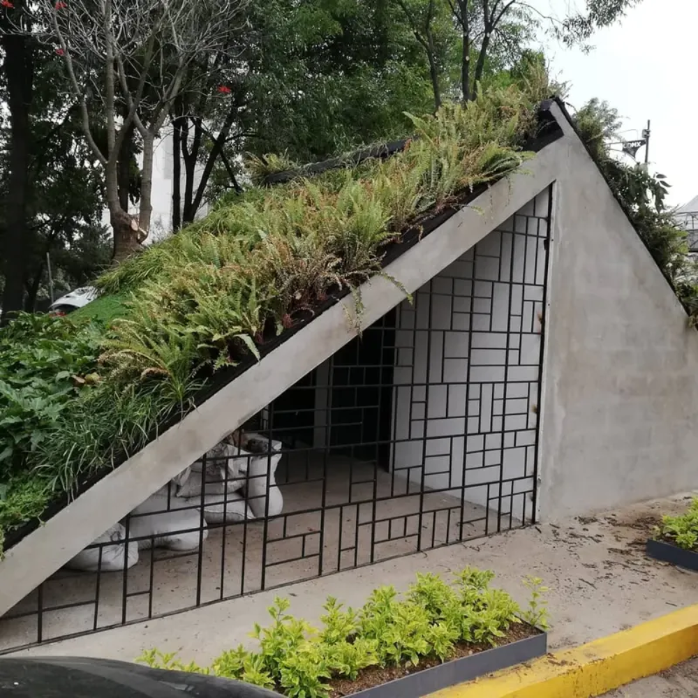 paisajismo
